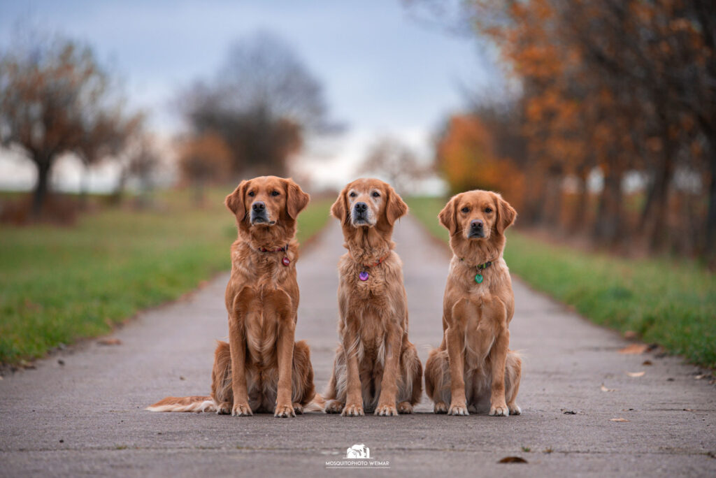 1 ezy watermark 15 11 2025 08 41 08 3440pm