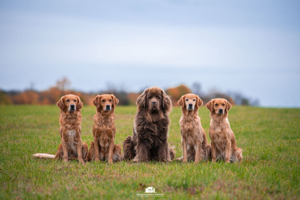 5 ezy watermark 15 11 2025 08 43 18 0310pm