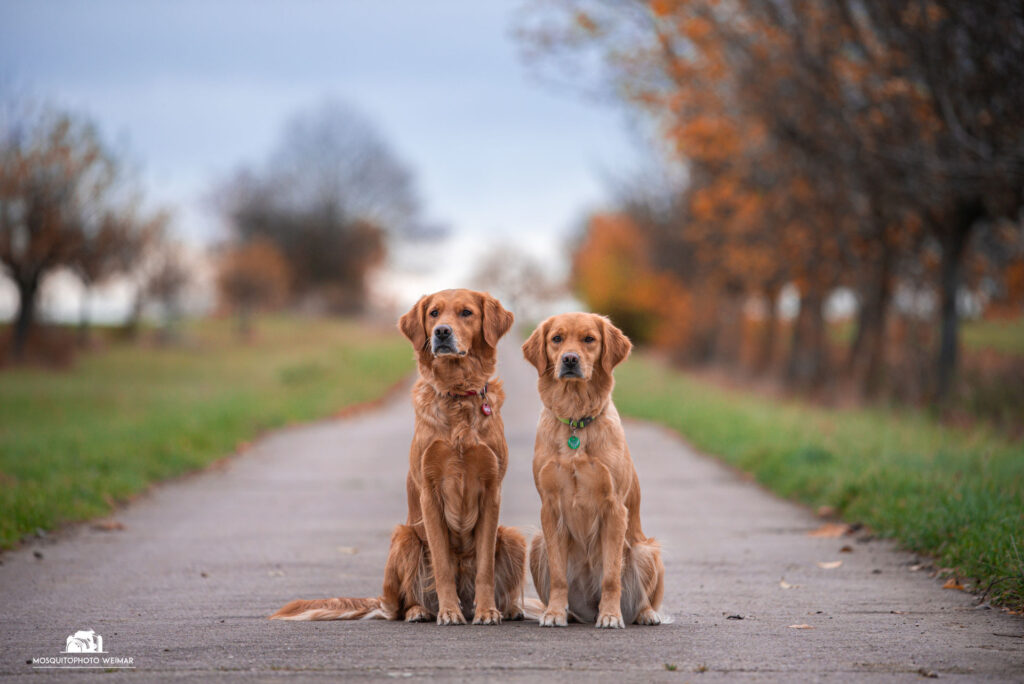 8 ezy watermark 18 12 2025 07 57 38 2930pm