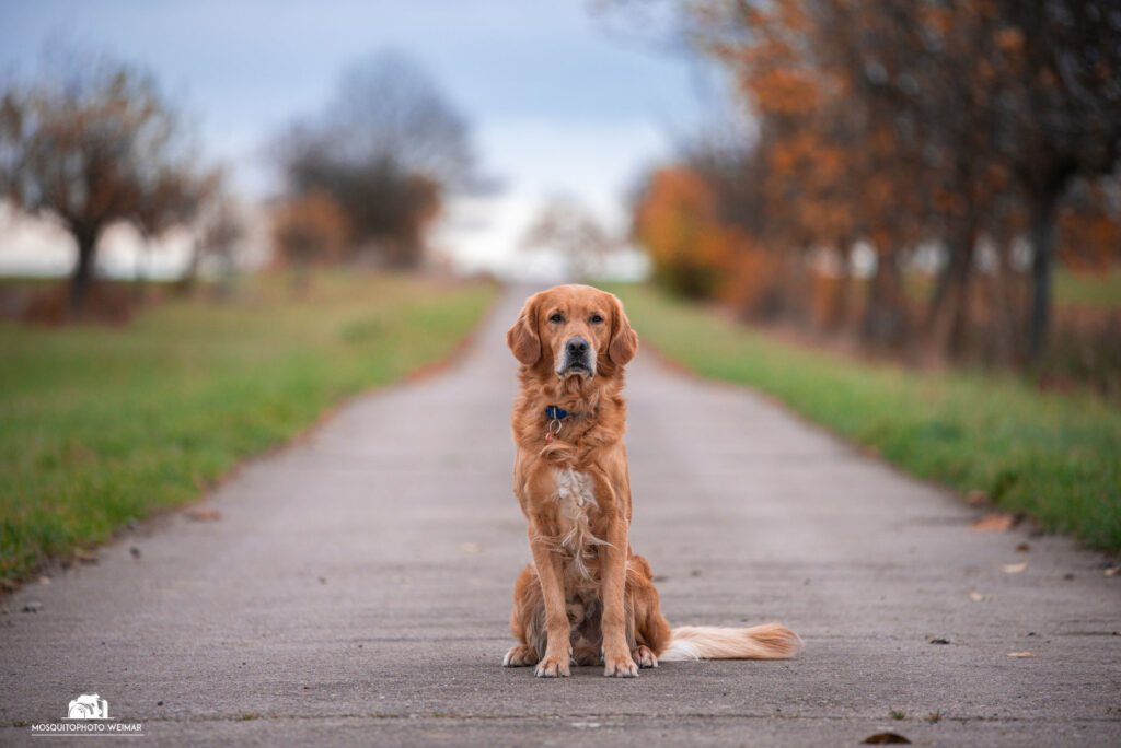 9 ezy watermark 18 12 2025 07 58 19 1750pm