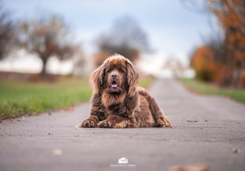 7 ezy watermark 18 12 2025 08 00 52 0940pm