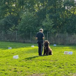 whatsapp image 2026 01 12 at 13.50.17